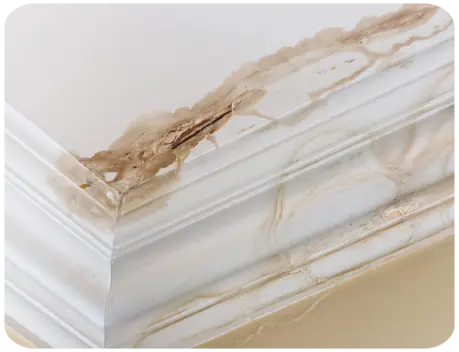 Infiltration d'eau toiture Milly-La-Forêt Essonne 91